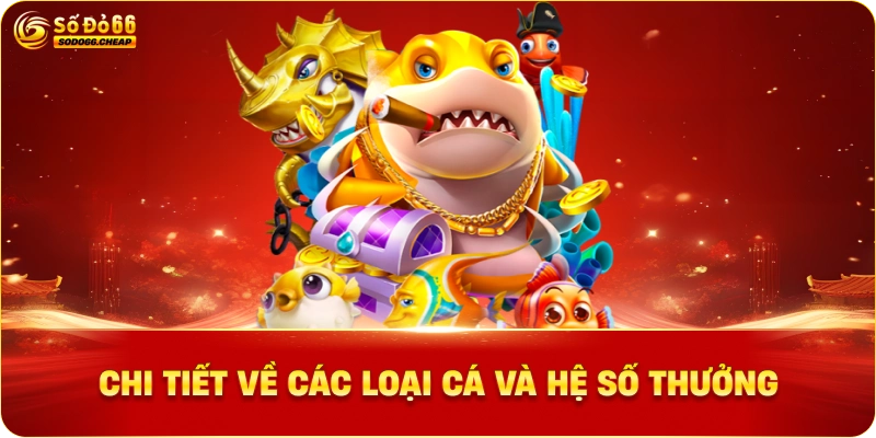 Hình ảnh chi tiết về các loại cá và hệ số thưởng MG bắn cá sodo66
