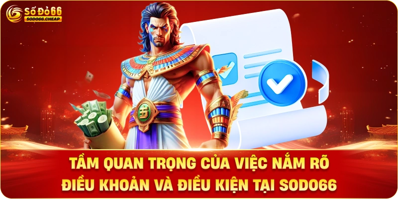Tầm Quan Trọng Của Việc Nắm Rõ Điều Khoản và Điều Kiện Tại Sodo66